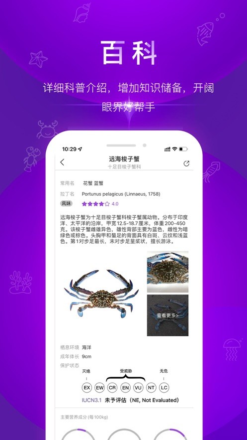 问鱼app手机最新版截图1