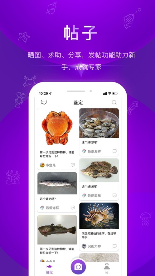 问鱼app手机最新版截图3