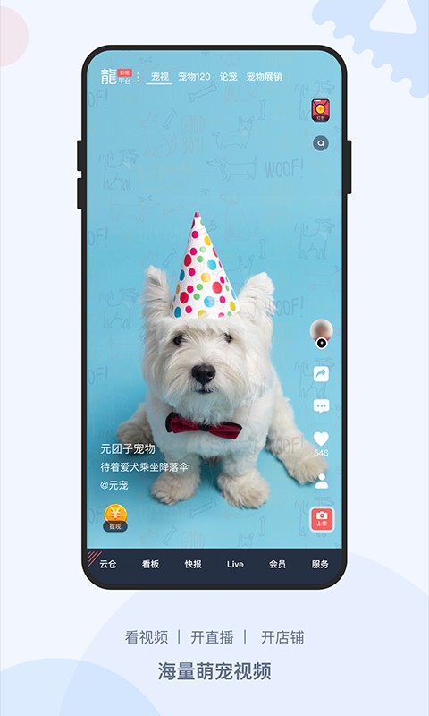 龙平台影视最新版截图2