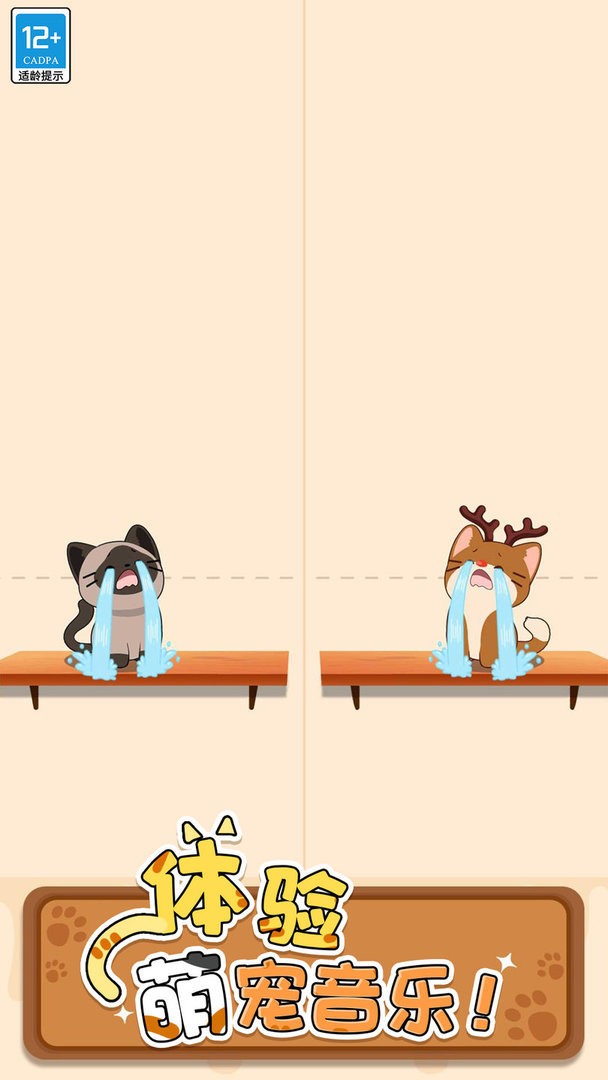 猫咪二重奏中文版截图2