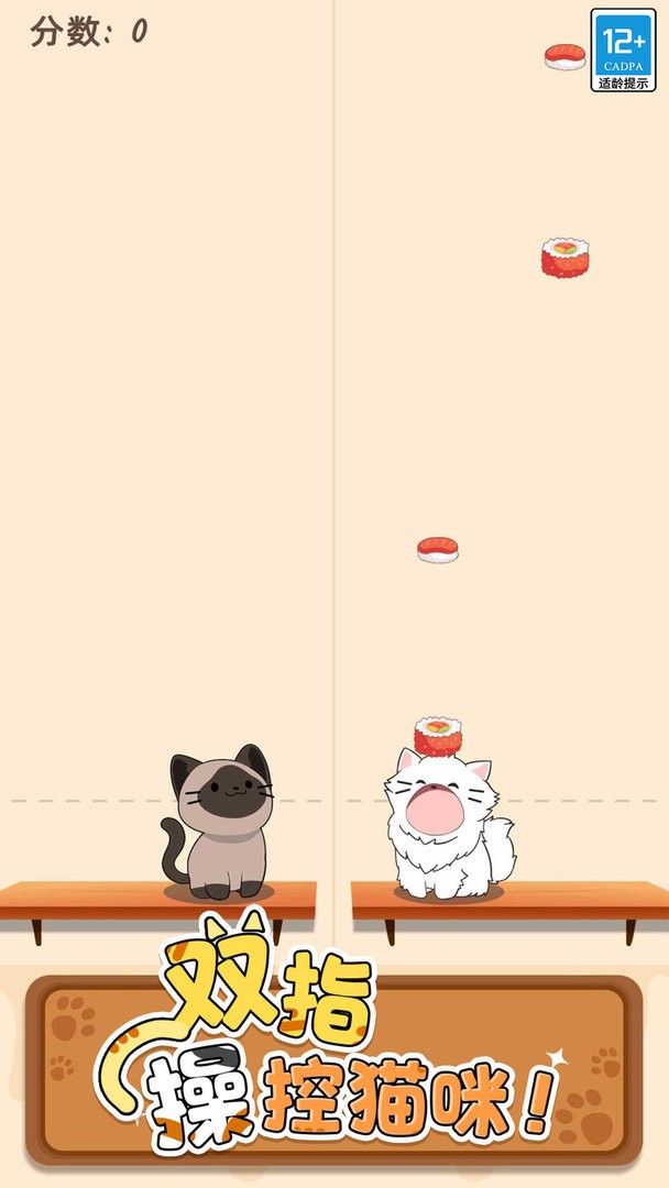 猫咪二重奏中文版截图3