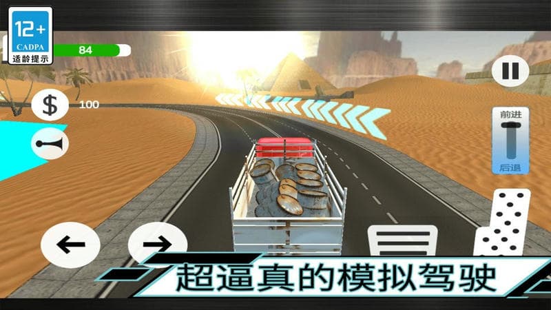 大卡车驾驶官方版截图2
