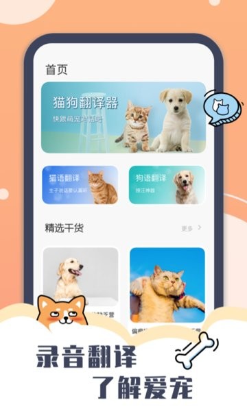 peppycat游戏