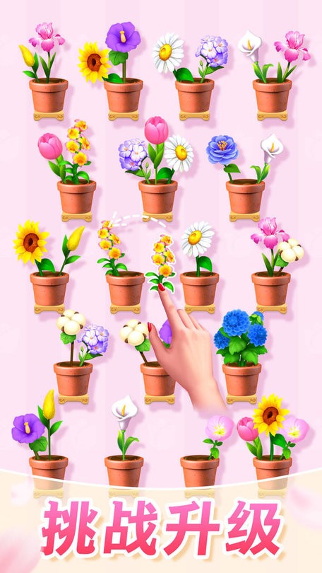 插花消除小游戏截图4