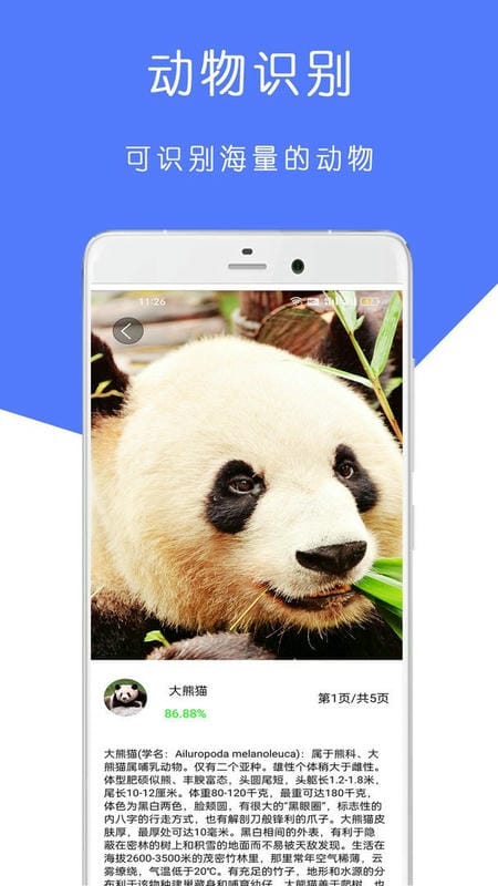 植物识别王官方版截图2
