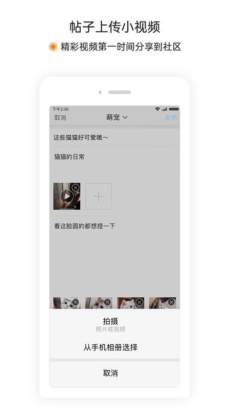 萧内网pp