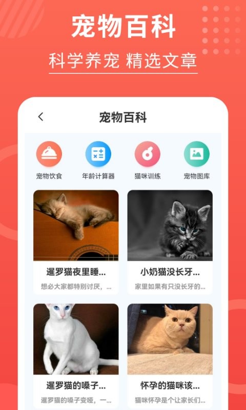 猫猫翻译器软件截图1
