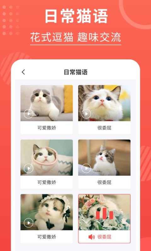 猫猫翻译器软件截图4