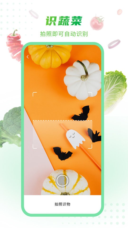 有机蔬菜大全客户端截图2