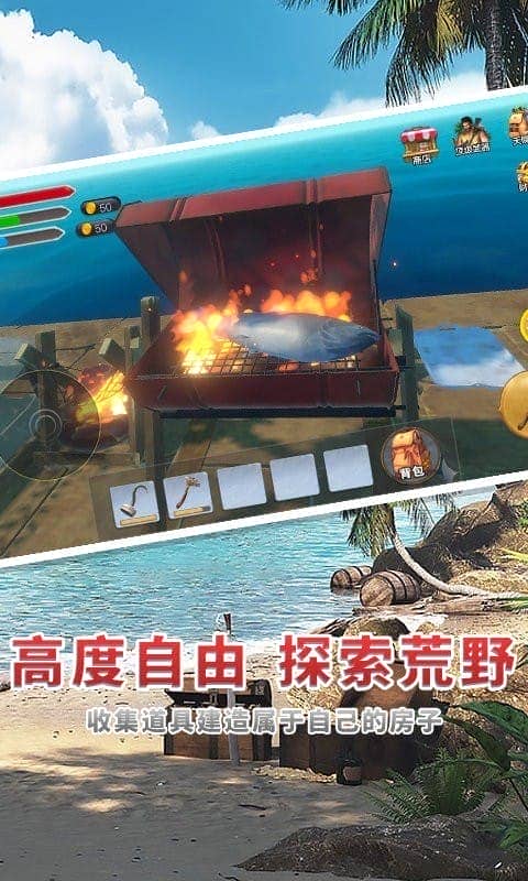 海贼世纪大冒险游戏下载