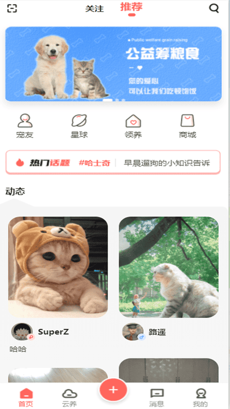 宠夫子app下载手机版