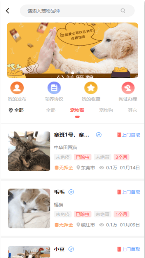 宠夫子最新版截图2