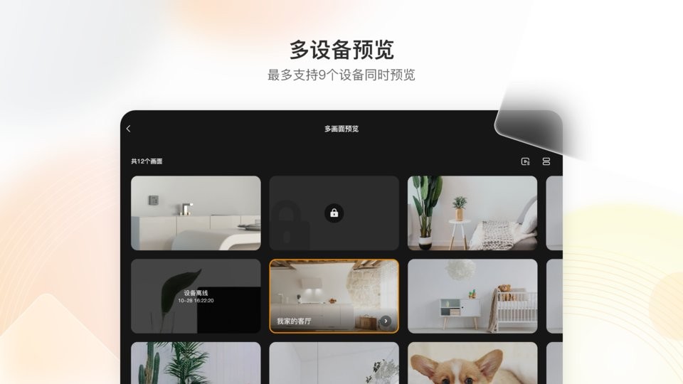 乐橙hd手机版截图2