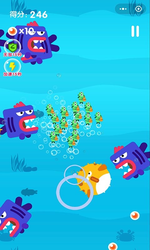 小青鱼旅行最新版截图1
