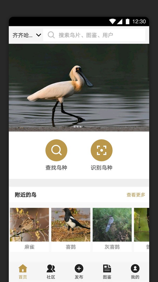 识鸟家官方版