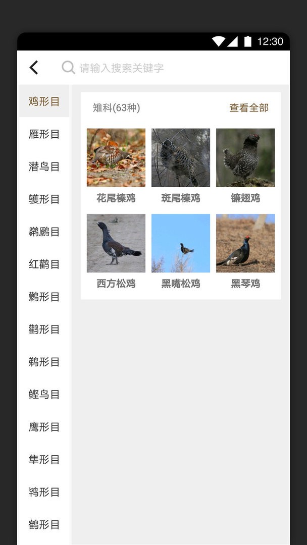 识鸟家官方版截图2