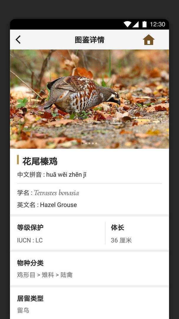 识鸟家官方版截图3