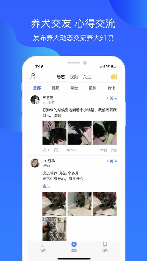犬卫士最新版截图3