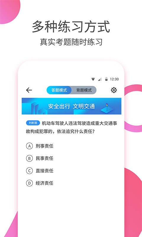 驾考大师官方正版截图2