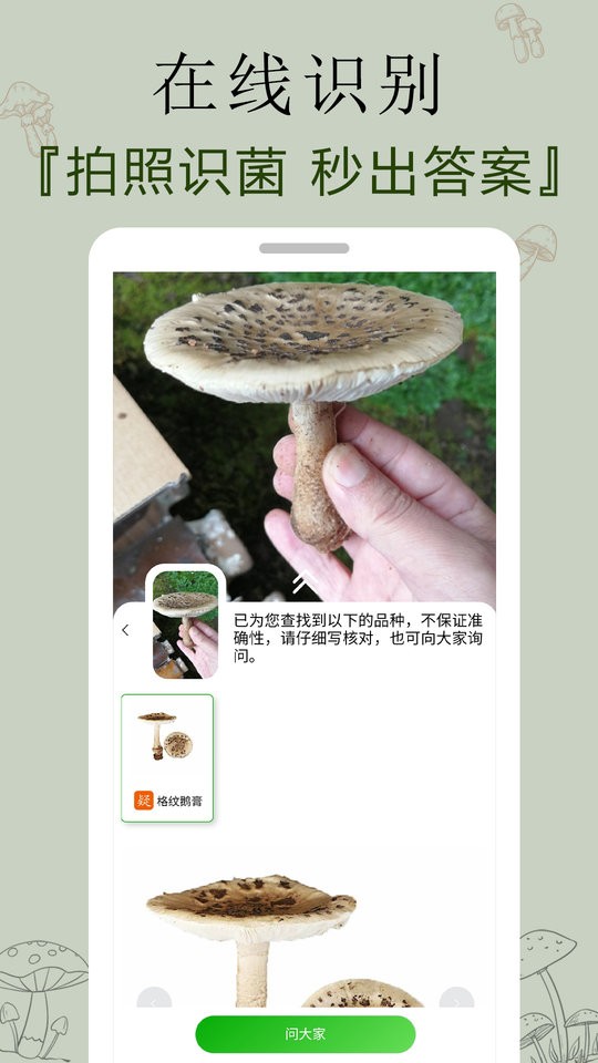 菌窝子官方版截图1