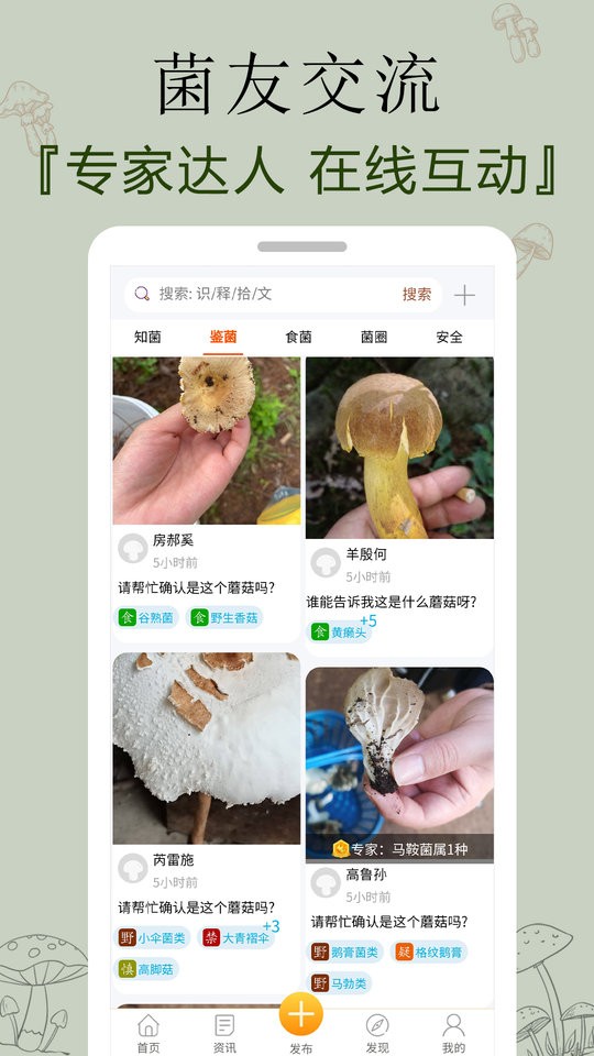 菌窝子官方版截图2
