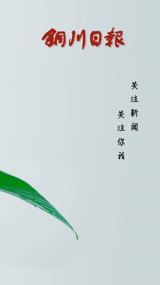 铜川传媒网截图3