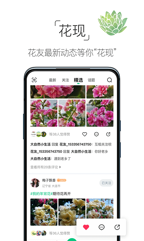 养花大全手机版截图1