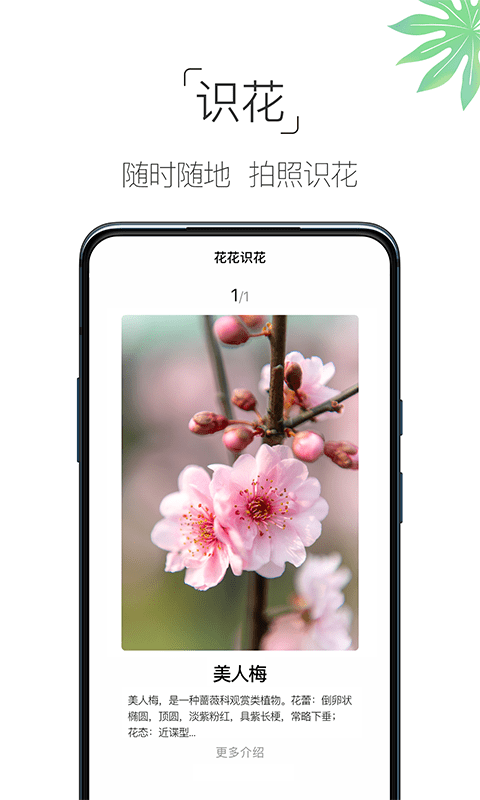 养花大全手机版截图2