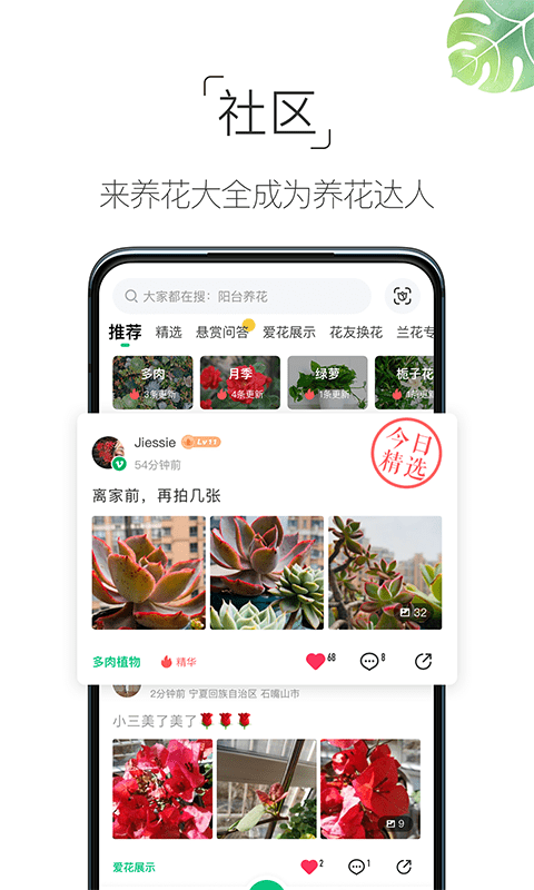 养花大全手机版截图4