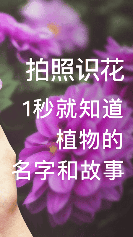 形色拍照识别花和植物截图2