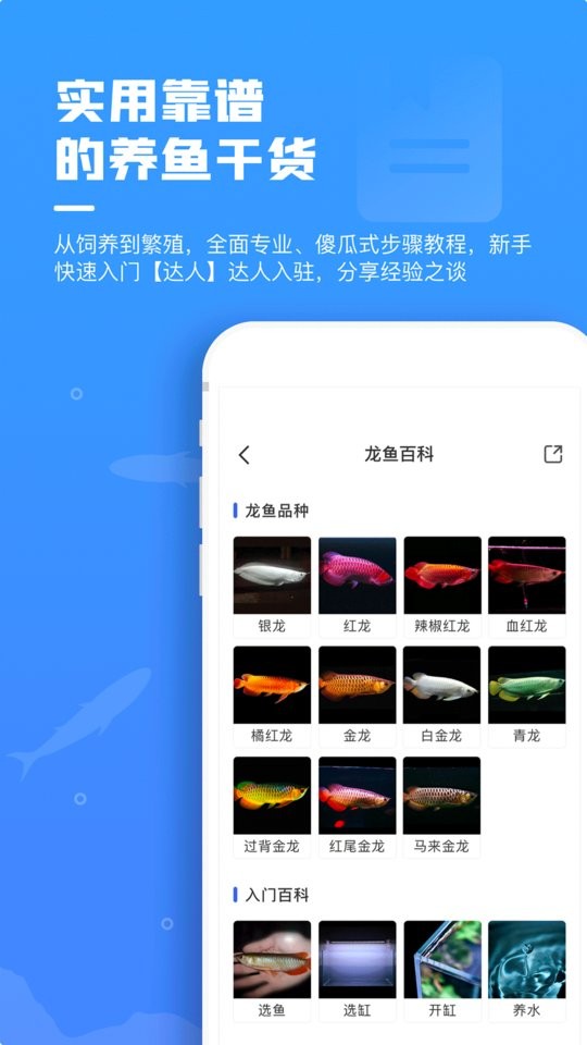 鲲天下app下载