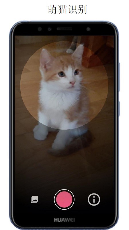 万物识别app官方下载