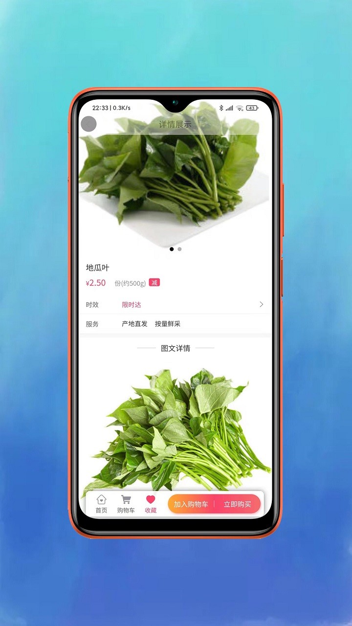 鲜动员最新版截图1