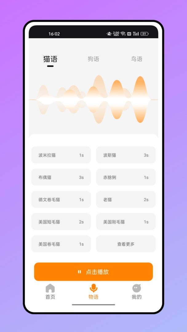 仓鼠翻译器软件截图1