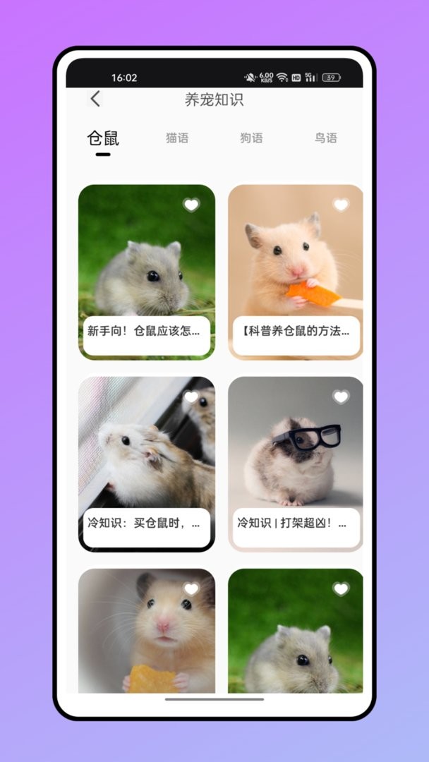 仓鼠翻译器软件截图3