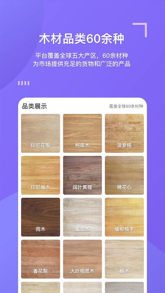 亿森手机版截图3