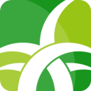 野草助手TV版v2.0.6