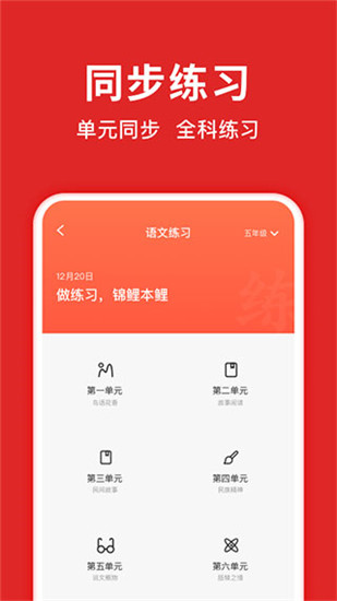 题拍拍app手机版截图2