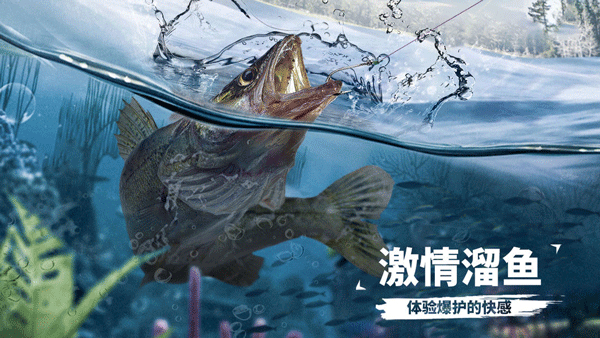 天天钓鱼达人版截图1