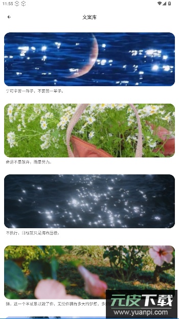 TrAni壁纸官方版截图2