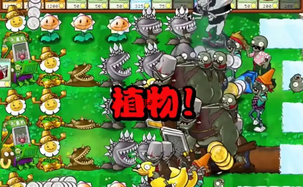 植物大战僵尸杂交直装版(植物大战僵尸杂交版)截图2