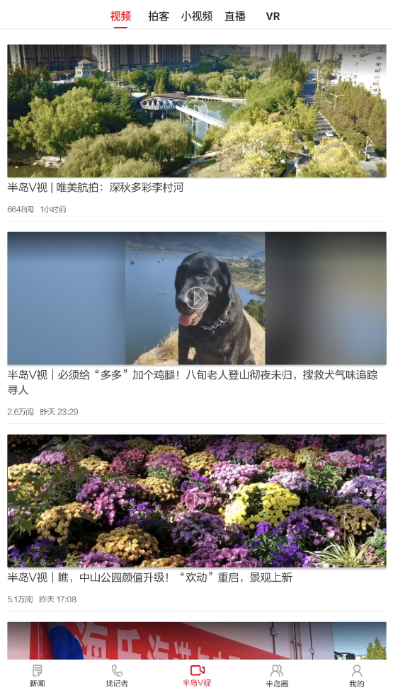 半岛新闻网app客户端最新版截图4