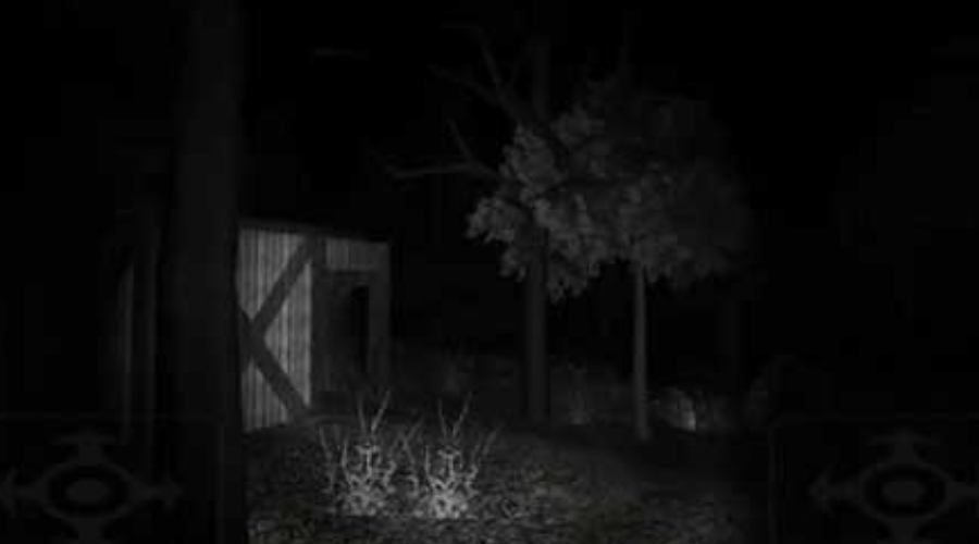 恐怖森林免费完整版(Forest)截图1