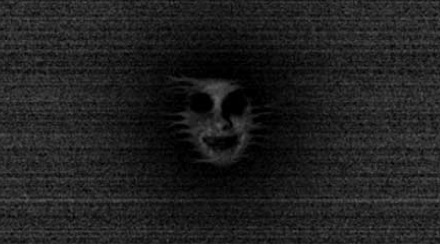 恐怖森林免费完整版(Forest)截图4