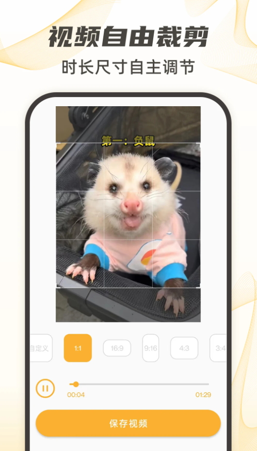 视频下载大师app官方版截图2