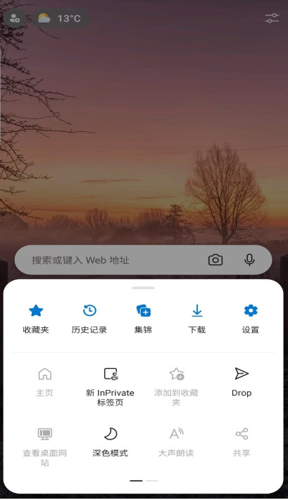 edge canary手机版截图2
