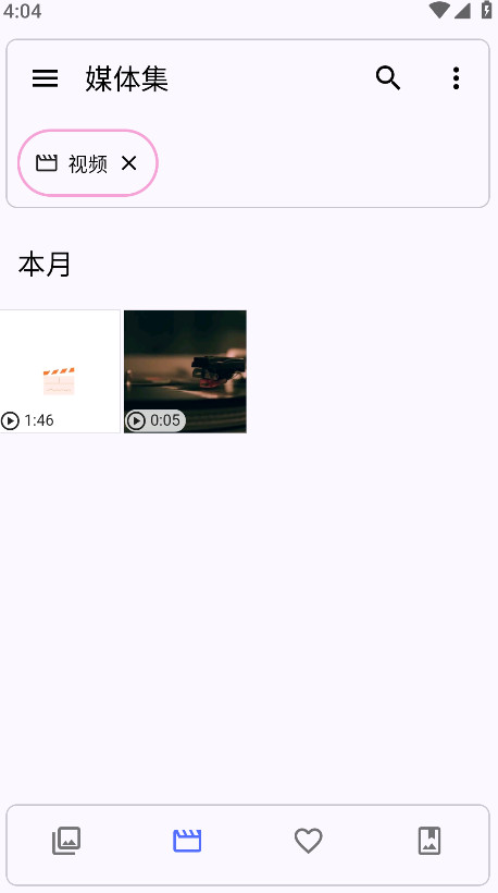 Aves相册免费版截图2
