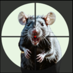 老鼠狩猎3D无限货币版v1.0.1