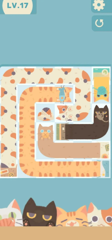 管道猫咪去广告版截图4