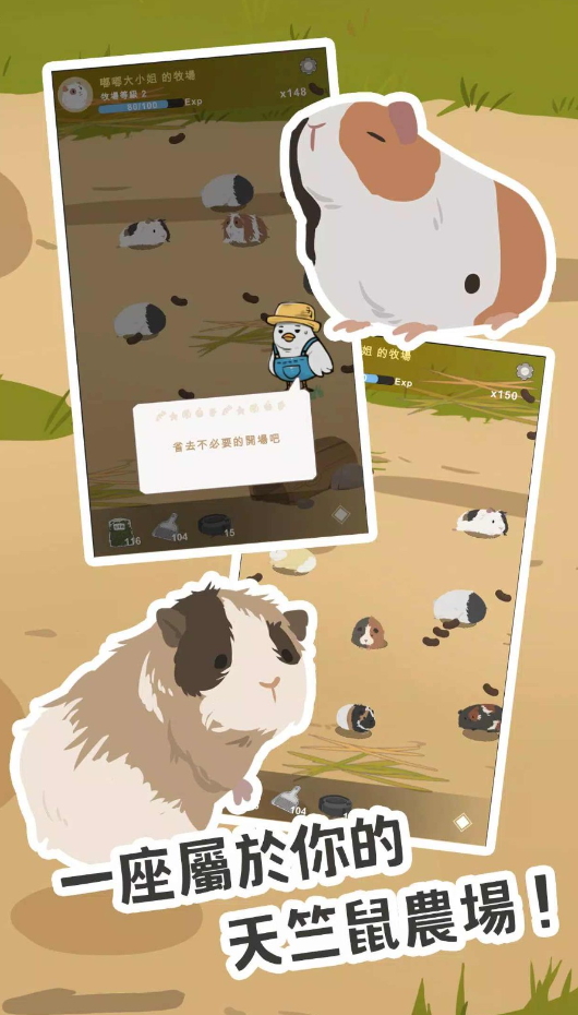 天竺鼠农场游戏官方版截图3